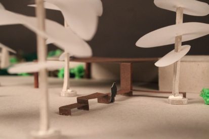 IMG_4804